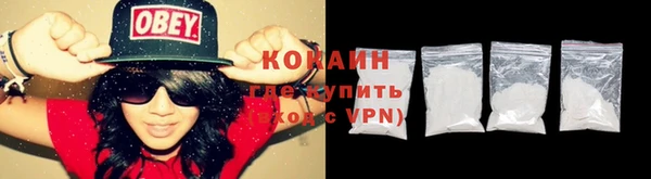 ALPHA PVP Няндома