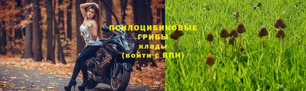 ешки Нягань