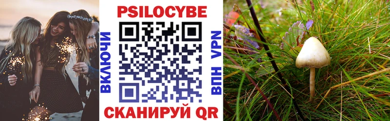 Псилоцибиновые грибы GOLDEN TEACHER Тобольск
