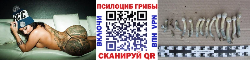 Галлюциногенные грибы Psilocybe  Тобольск 