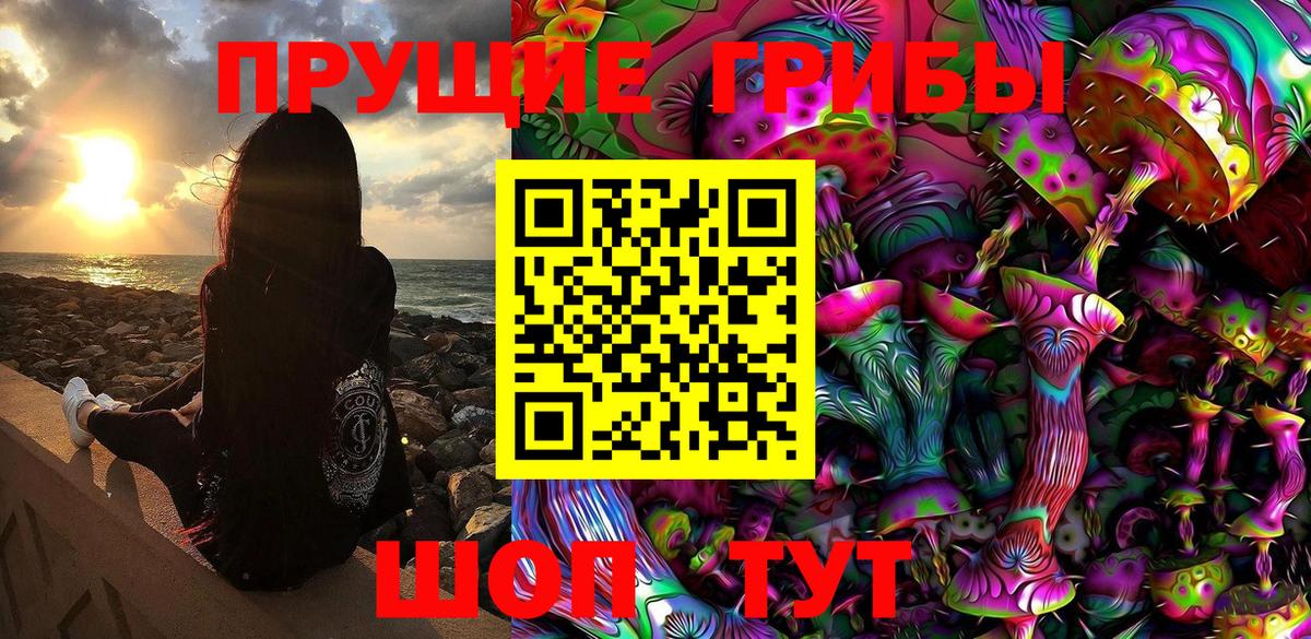 Псилоцибиновые грибы Psilocybe Тобольск